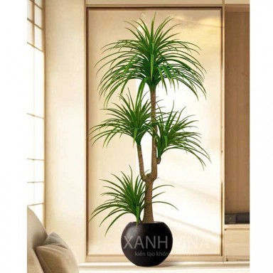 Cây giả huyết dụ trang trí không gian